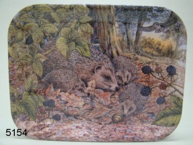 Egel dienblad middelgroot