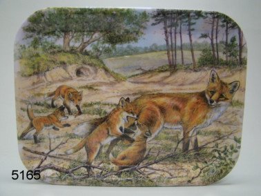 Vos dienblad, middel