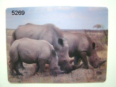 Neushoorn, 3D placemat