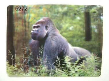 Gorilla, 3D placemat