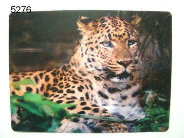Panter, 3D placemat