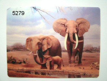 Olifant, 3D placemat