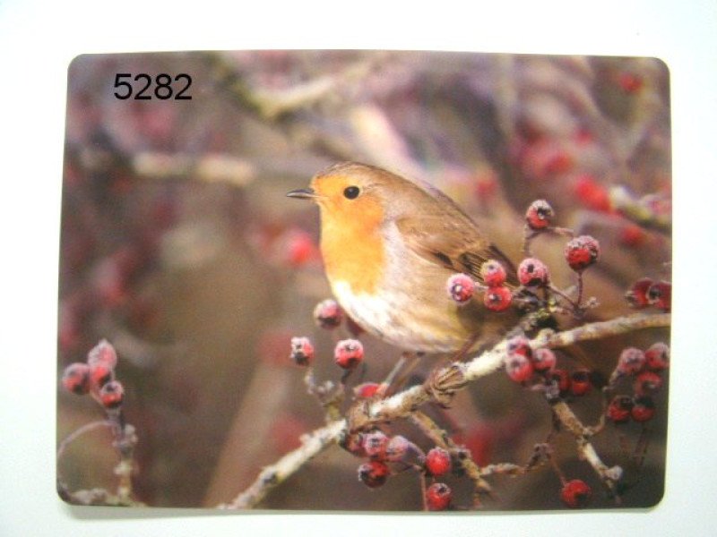 Roodborst 3D Placemat