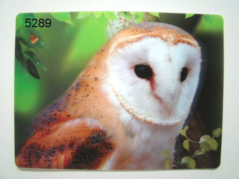 Kerkuil 3D Placemat
