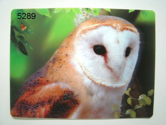 Kerkuil 3D Placemat