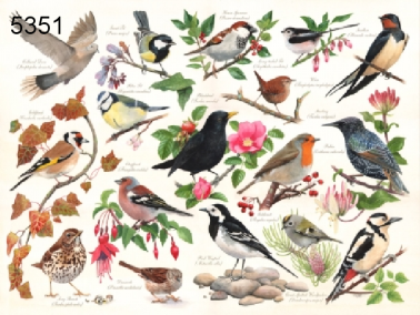Birds in My Garden legpuzzel, 1000 stukjes, 68 x 49 cm