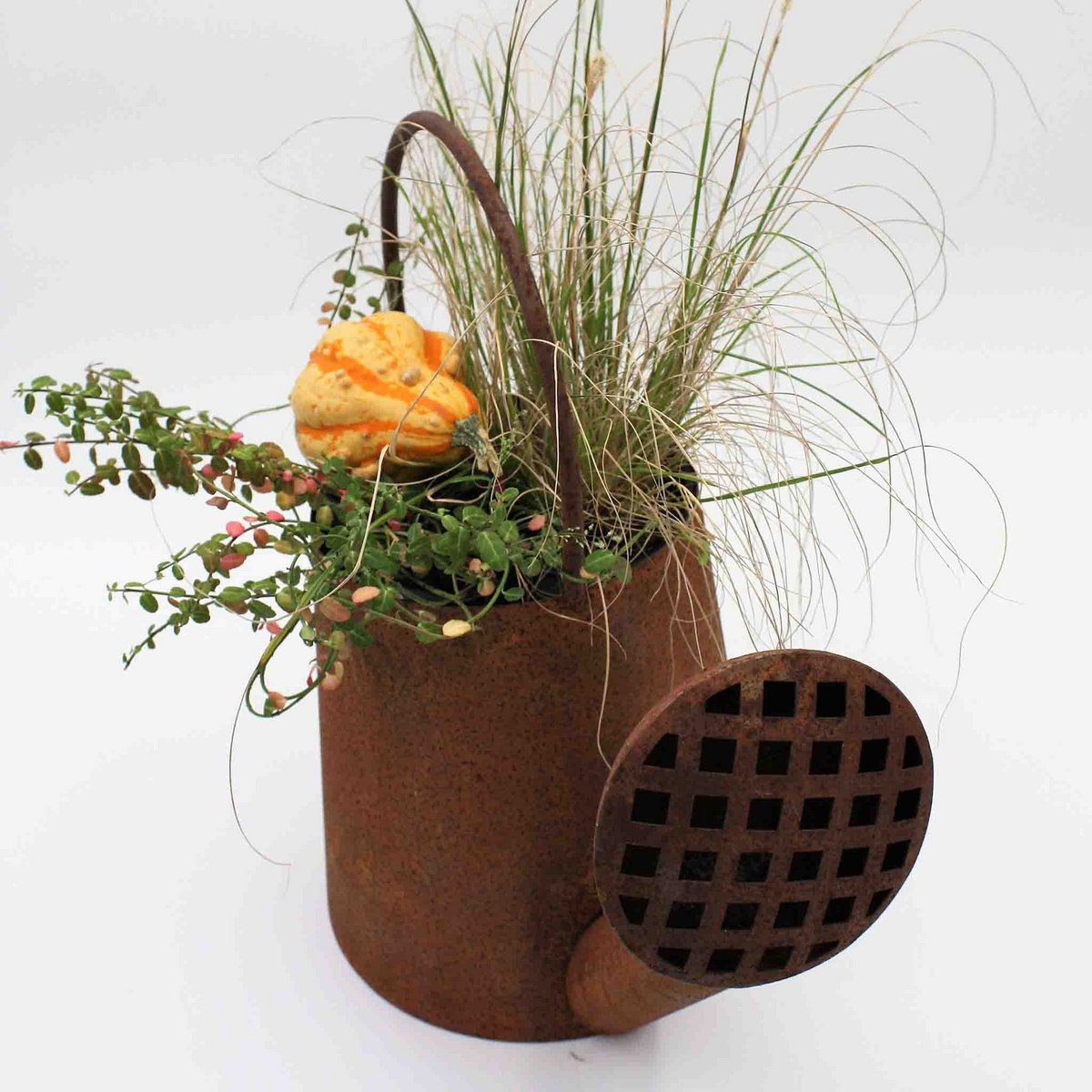 Decoratieve gieter in roestkleur