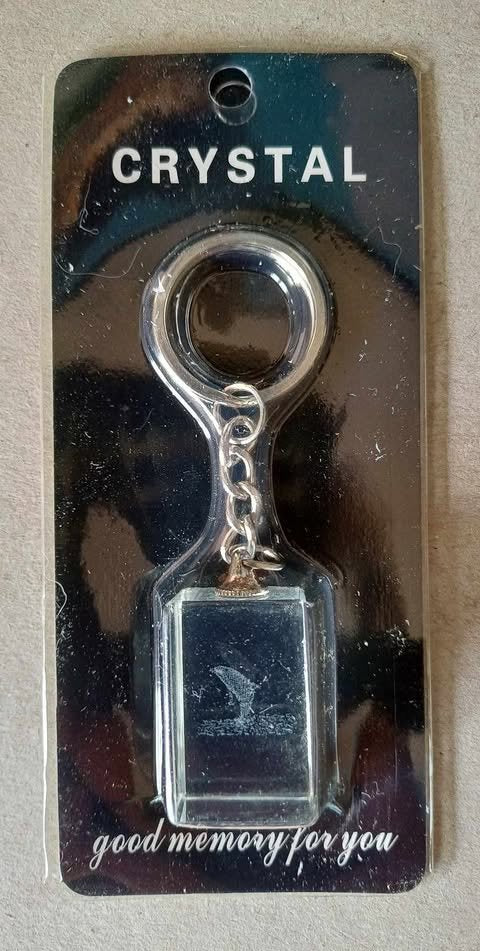 Dolfijn sleutelhanger, glas