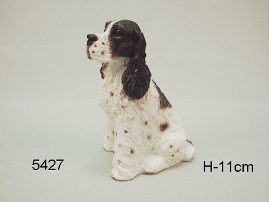 Springer Spaniel, 11 cm