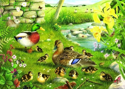 Ducks to Water 500 XL stukjes