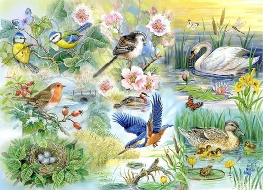 Feathered Friends legpuzzel, 250 XL stukjes