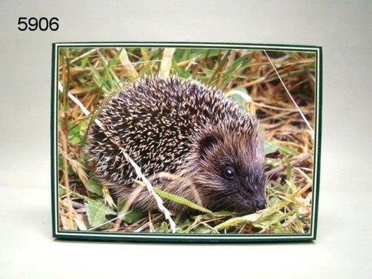 Egel, 1000 stukjes