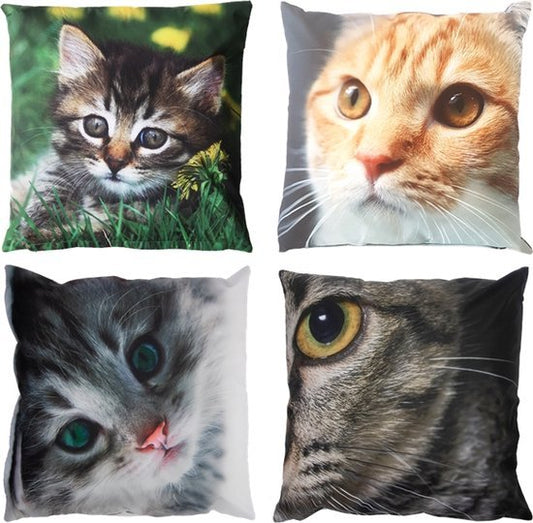 Poes buitenkussen, 40 x 40 cm