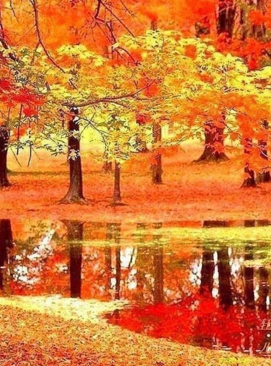 Bomen in de herfst, diamond painting 40 x 50 cm
