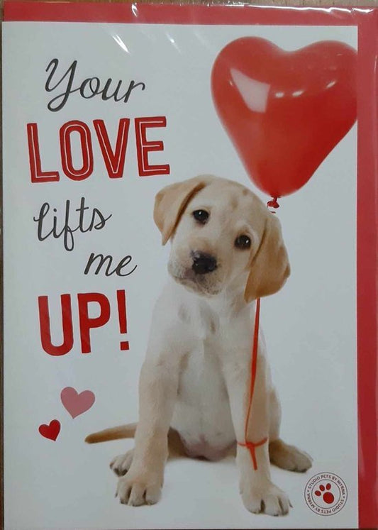 Your love lifts me up wenskaart