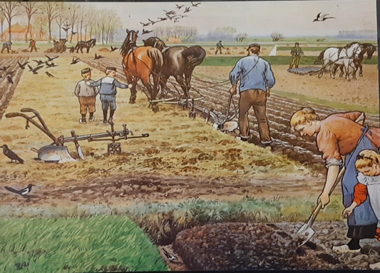 Landleven, ploegen ansichtkaart