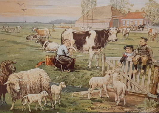 Landleven, in de weide ansichtkaart