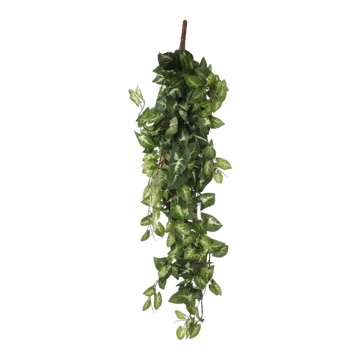 Fittonia hangende kunstplant, 80 cm