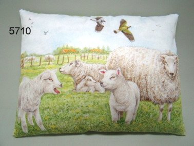 Schaap kussen, 35 x 45 cm