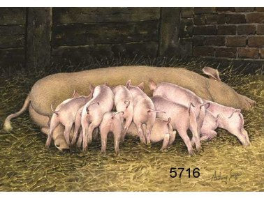 Legs eleven wenskaart, 14 x 20 cm