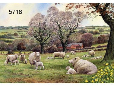 Mothers day wenskaart, 14 x 20 cm