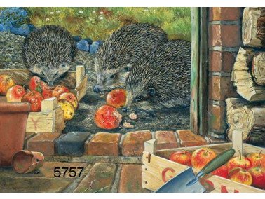 Apple harvest, wenskaart, 14 x 20 cm