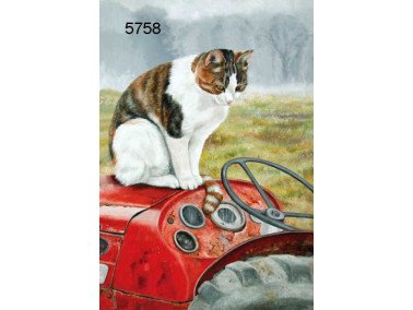 On watch wenskaart, 14 x 20 cm