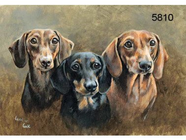 Triple trouble wenskaart, 14 x 20 cm