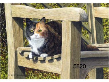 Mango wenskaart, 14 x 20 cm