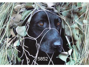 Hide and seek wenskaart, 14 x 20 cm