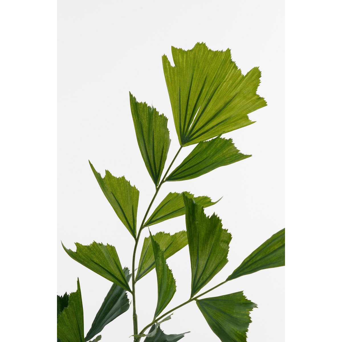 Vissenstaartpalm kunstplant 150 cm