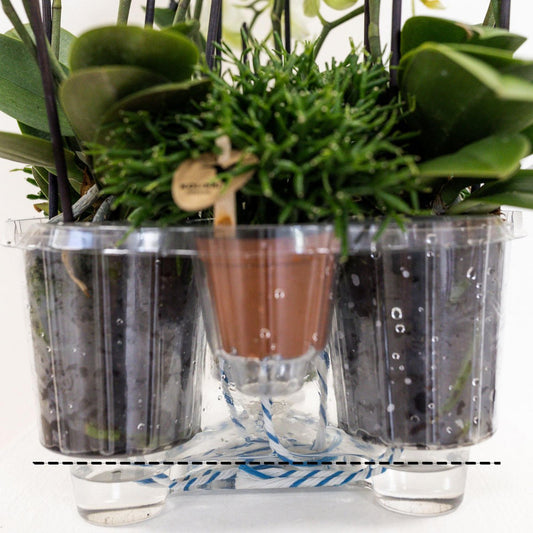 Inlay met waterreservoir voor orchideeënschaal Ø 25 cm, Field Bouquet