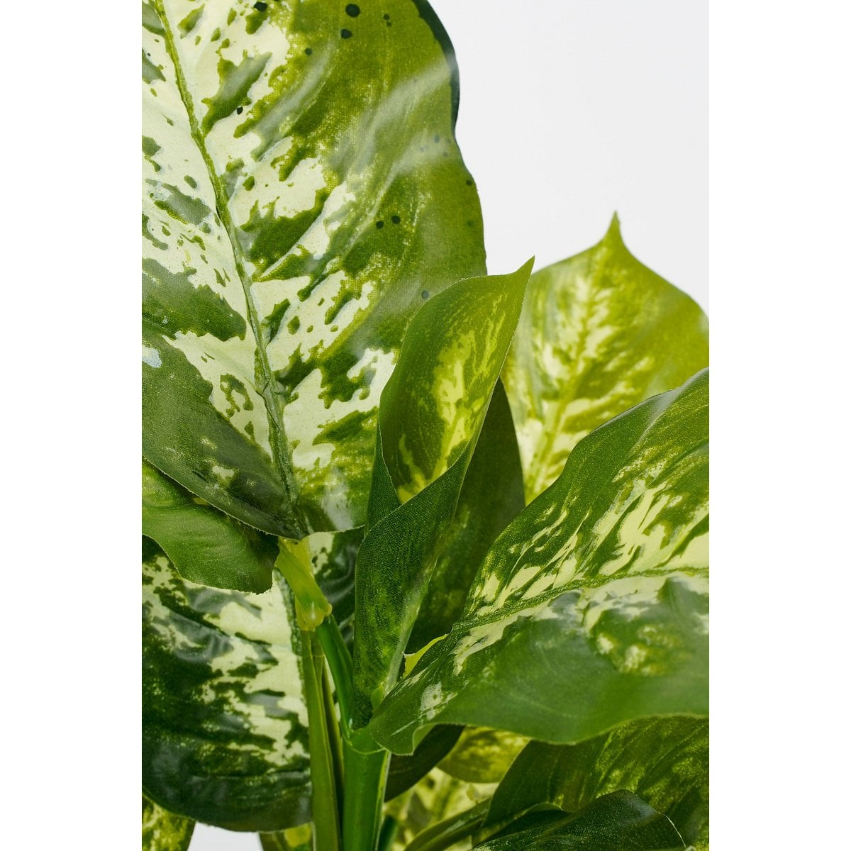 Dieffenbachia kunstplant, 40 cm