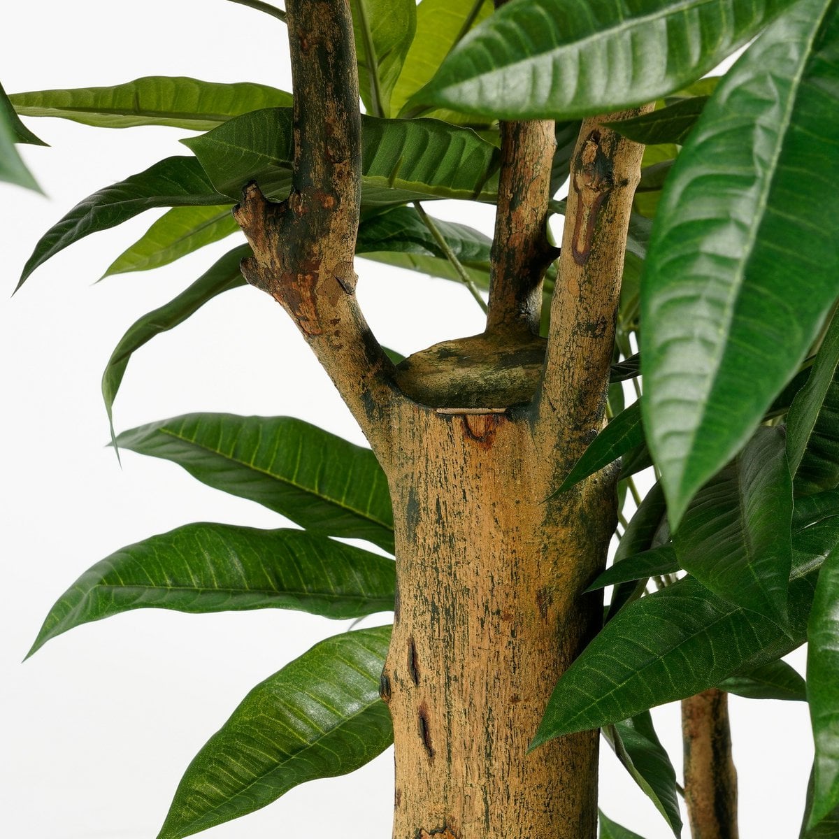 Pachira kunstplant, 175 cm