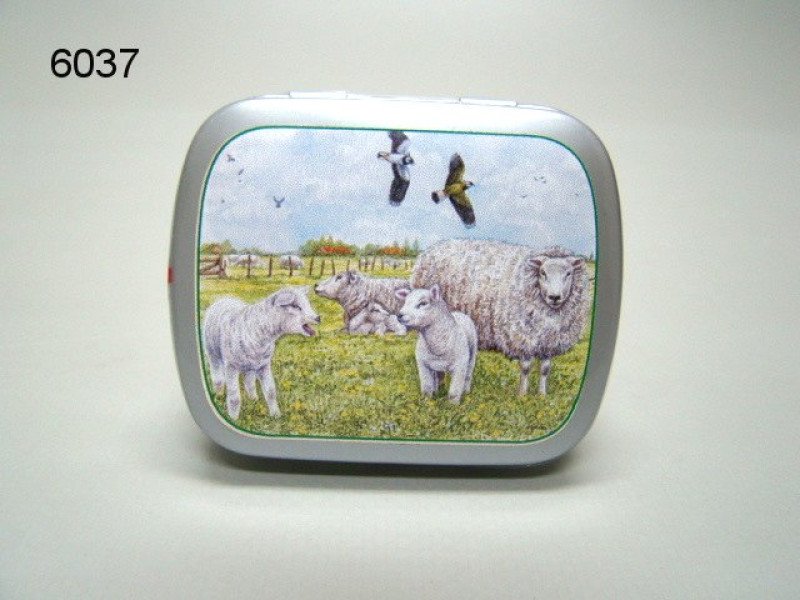 Schaap, blikje met pepermunt