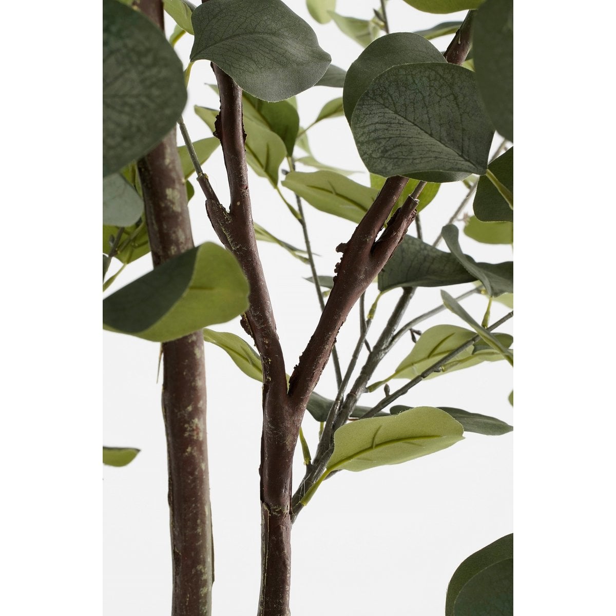 Eucalyptus kunstplant, 180 cm