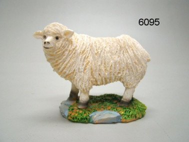 Schaap, 10 cm