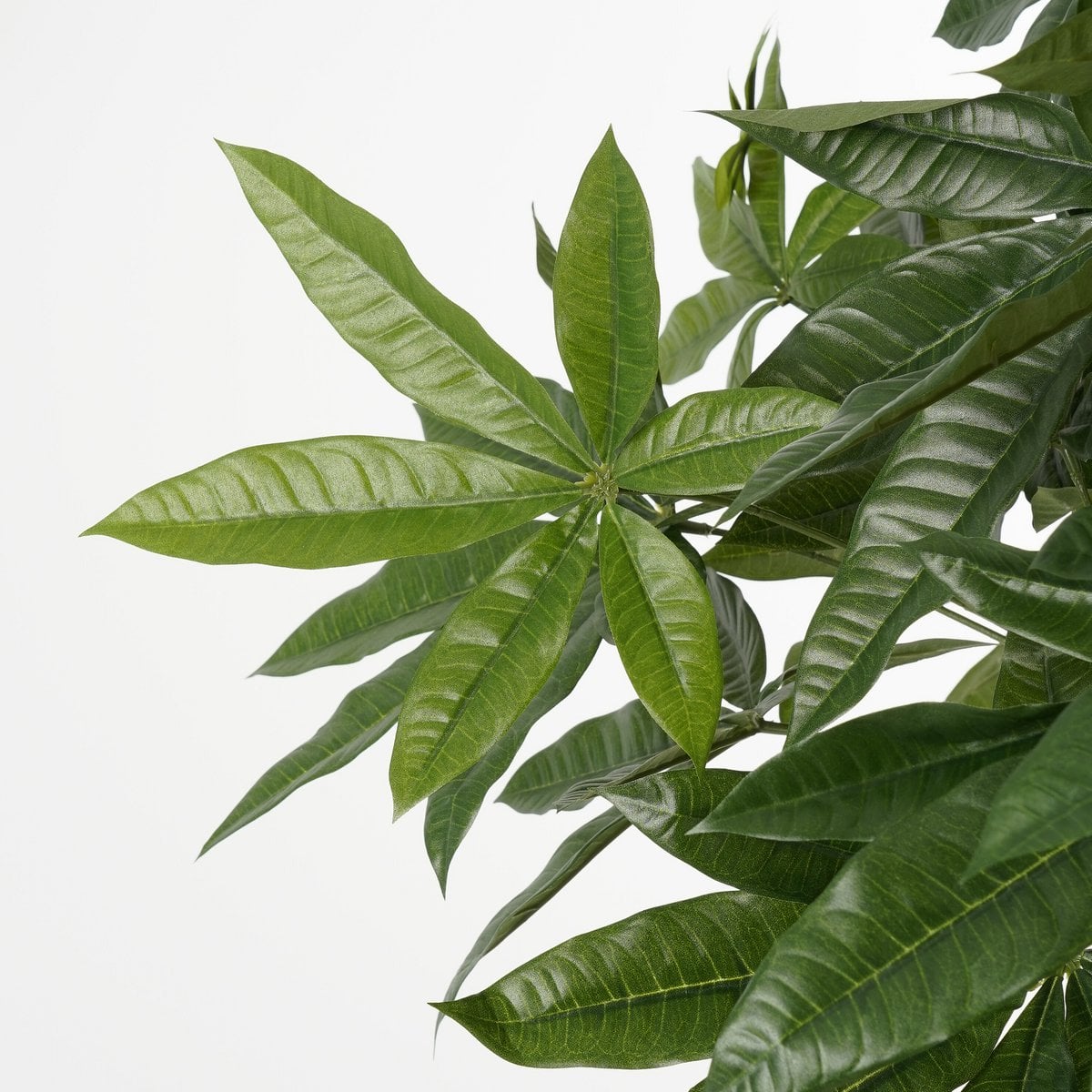 Pachira kunstplant, 120 cm