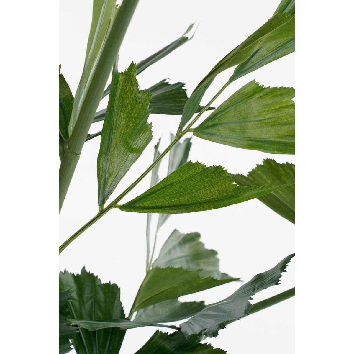 Vissenstaartpalm kunstplant 150 cm