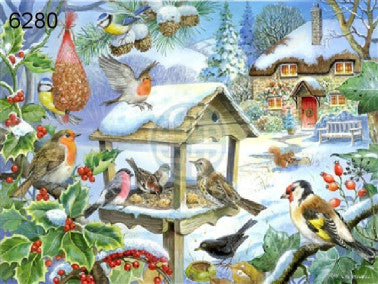 Feed the birds legpuzzel, 250 XL stukjes