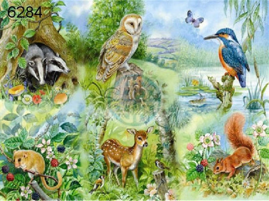 Nature study legpuzzel, 250 XL stukjes
