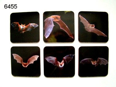 Vleermuis onderzetters, 6 stuks
