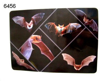 Vleermuis placemat