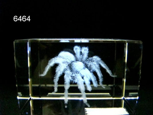 Spin glasblokje