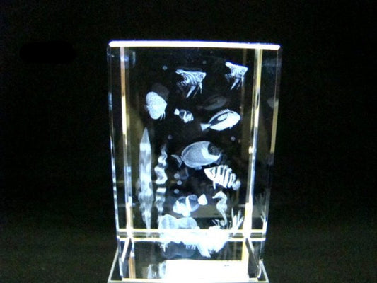 Tropische vissen glasgravure 3D, 8 x 5 cm