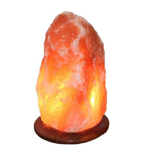Salt Dreams Himalaya zoutlamp met houten voet 31 cm