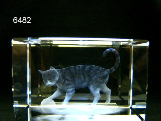 Poes glasblokje