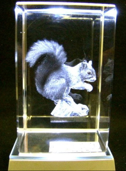 Eekhoorn glasgravure 3D, 8 x 5 cm