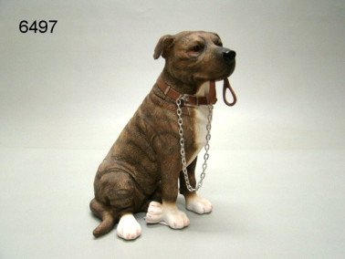 Stafford brindle/wit, 17 x 12 cm