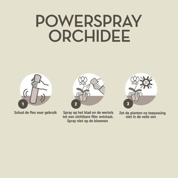 Pokon Powerspray orchidee, 300 ml